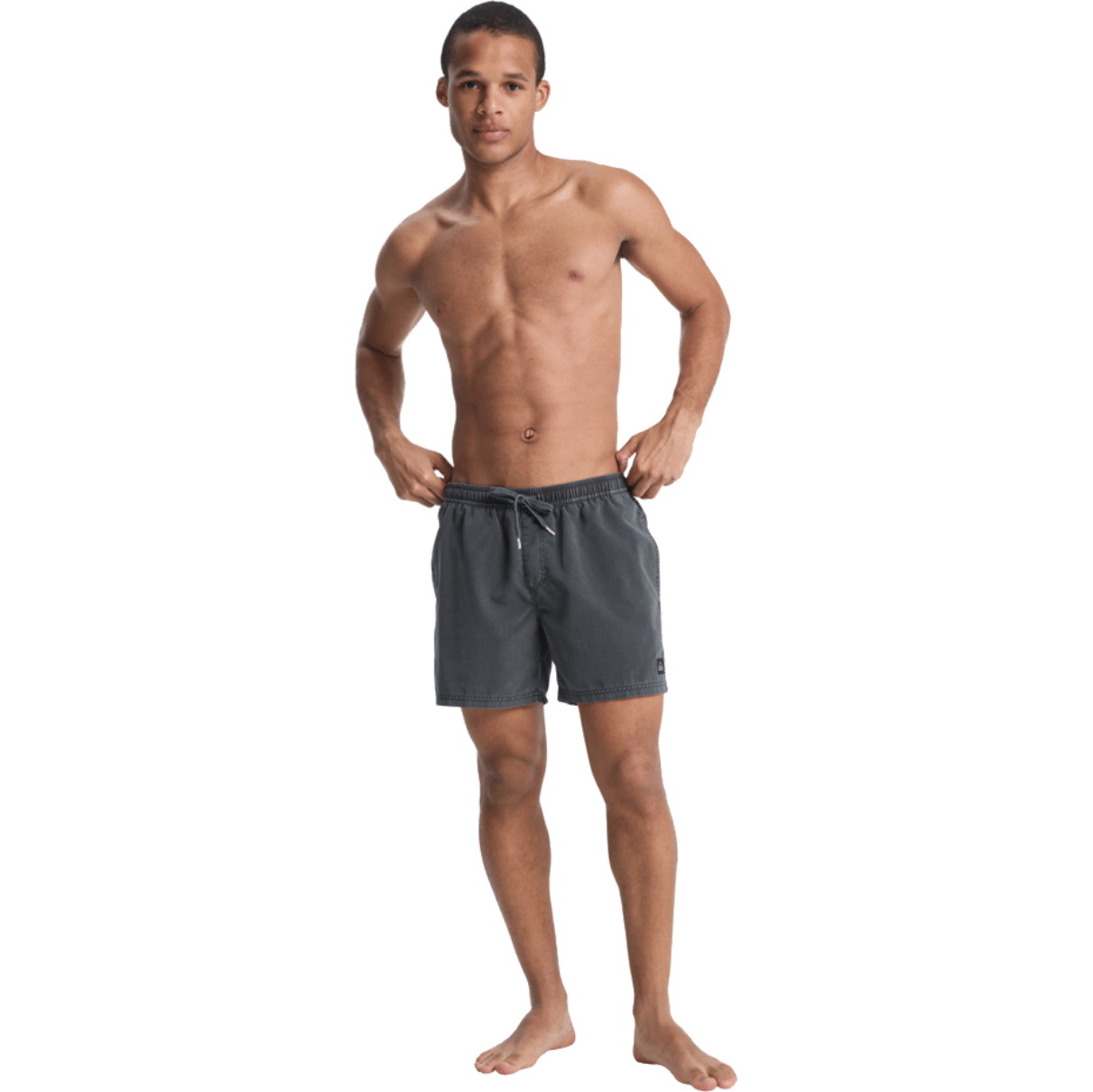 2026 Quiksilver Mens Everyday Surfwash Volley 15